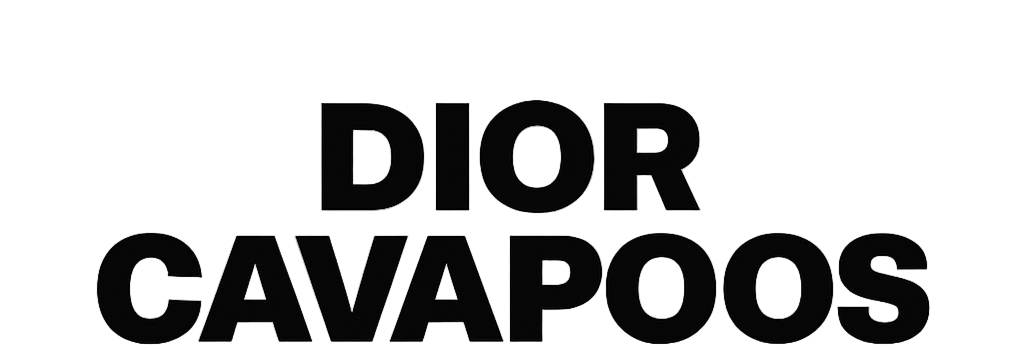 DIOR CAVAPOO